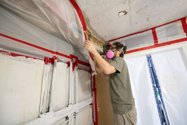 Mold Odor Removal Services in Southlake, TX